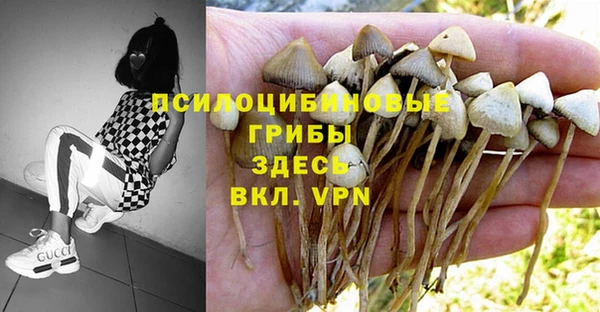 ALPHA PVP Карпинск