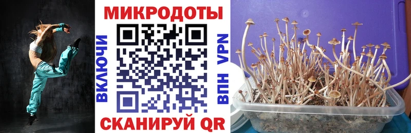 Галлюциногенные грибы мухоморы  Купить  Вытегра 